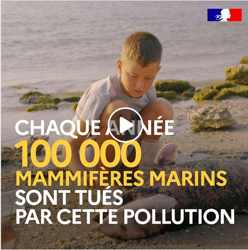 #TousÉcologistes | La pollution plastique dans les océans, ce sont aussi les granulés plastiques industriels. 