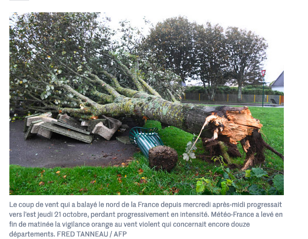 Tempête Aurore : l’alerte orange levée, mais une circulation de trains encore difficile et 250 000 foyers sans électricité