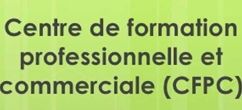 INSERTION PROFESSIONNELLE DES JEUNES Une solution au développement de l’’ingénierie de la formation