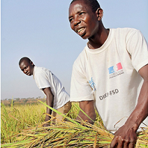 Place de la France dans les politiques agricoles en Afrique