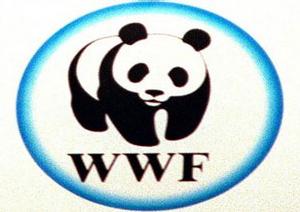 EDUCATION A L’ENVIRONNEMENT , La pédagogie du WWF pour impliquer les jeunes