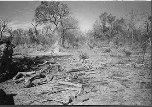 LUTTE CONTRE LES CATASTROPHES NATURELLES, Koungheul bouscule les certitudes