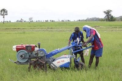 Papa Abdoulaye Seck : « Les ingrédients sont réunis pour l’autosuffisance en riz »