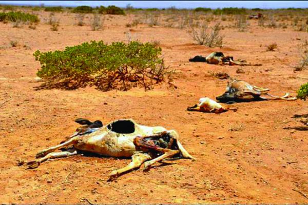 REDUCTION DE LA VULNERABILITE A LA SECHERESSE DES MOYENS POUR METTRE 5 MILLIONS D’AFRICAINS HORS DE DANGER, PAR AN