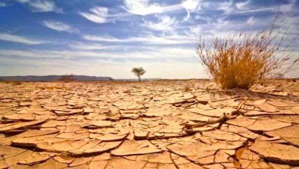 LUTTE CONTRE LES CHANGEMENTS CLIMATIQUES PLAIDOYER POUR UN ENGAGEMENT POLITIQUE DE HAUT NIVEAU