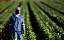 Togo : la BAD investira 25 milliards de Fcfa dans le secteur agricole