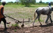 Hodar :Projet de location de matériel agricole