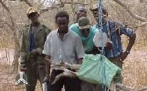 Le SIEF, Un Outil nouveau et une approche nouvelle pour la gestion des ressources naturelles au Sénégal…