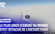 Le plus gros iceberg du monde s'est détaché de l'Antarctique