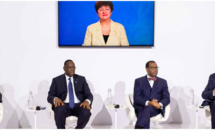 Le président de la Banque africaine de développement appelle à redynamiser le développement