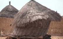 MBOUR Les greniers se vident