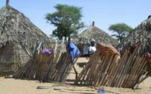 DIOURBEL /SITUATION ALIMENTAIRE PRECAIRE, RETARD DANS LA MISE DES INTRANTS AGRICOLES Le monde rural réclame une assistance en vivres de soudures