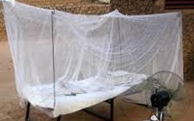 MILDA : près de 490.000 moustiquaires à distribuer à Tambacounda (ONG)
