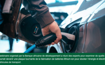 La Banque africaine de développement et ses partenaires discutent du potentiel en minéraux verts de l’Afrique pour la transition énergétique
