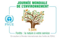 JOURNEE MONDIALE DE L’ENVIRONNEMENT En attendant les changements d’attitude sur les problèmes environnementaux