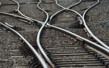 Le renouvellement de la voie ferrée va augmenter les revenus de Transrail (expert)