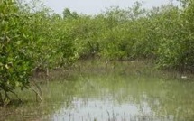 Ndiaël : la remise en eau de la réserve avifaune sera effective sous peu