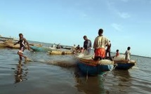 A Djirnda, l'USAID aide à la "gestion durable" de cinq espèces marines