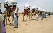 Sahel : un programme d'autonomisation des femmes en gestation