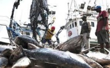 Les industries de pêche peuvent aider à résorber le déficit commercial (ministre)