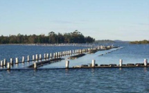 RARIFICATION DE LA RESOURCE HALIEUTIQUE LA PECHE CONTINENTALE ET L'AQUACULTURE DES ALTERNATIVES PEU RASSURANTES