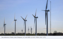Energie : l'éolien et le solaire ont fourni 12% de l'électricité mondiale en 2022, un niveau record mais toujours derrière le charbon