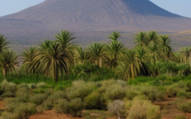 La conservation de la biodiversité au Maroc : défis et opportunités