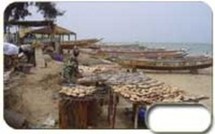 Projet Girmac:Composante pêche, Le développement de pêcheries durables