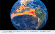 Climat : le monde doit se préparer à des températures records provoquées par El Niño, avertit l'ONU