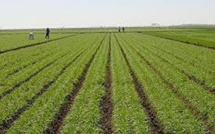 UN COMITÉ MIS EN PLACE POUR FAIRE L’ADAPTATION DU SECTEUR AUX CHANGEMENTS CLIMATIQUES