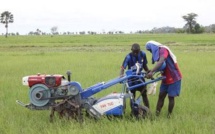 FORUM SUR L’ENTREPRENARIAT RURAL DES ENTREPRENEURS INVITENT LES JEUNES A UN RETOUR A LA TERRE