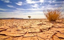 LUTTE CONTRE LES CHANGEMENTS CLIMATIQUES PLAIDOYER POUR UN ENGAGEMENT POLITIQUE DE HAUT NIVEAU