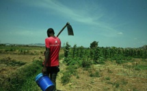 SECTEUR AGRICOLE UN PROJET DE RESILIENCE AUX CHANGEMENTS CLIMATIQUE LANCE